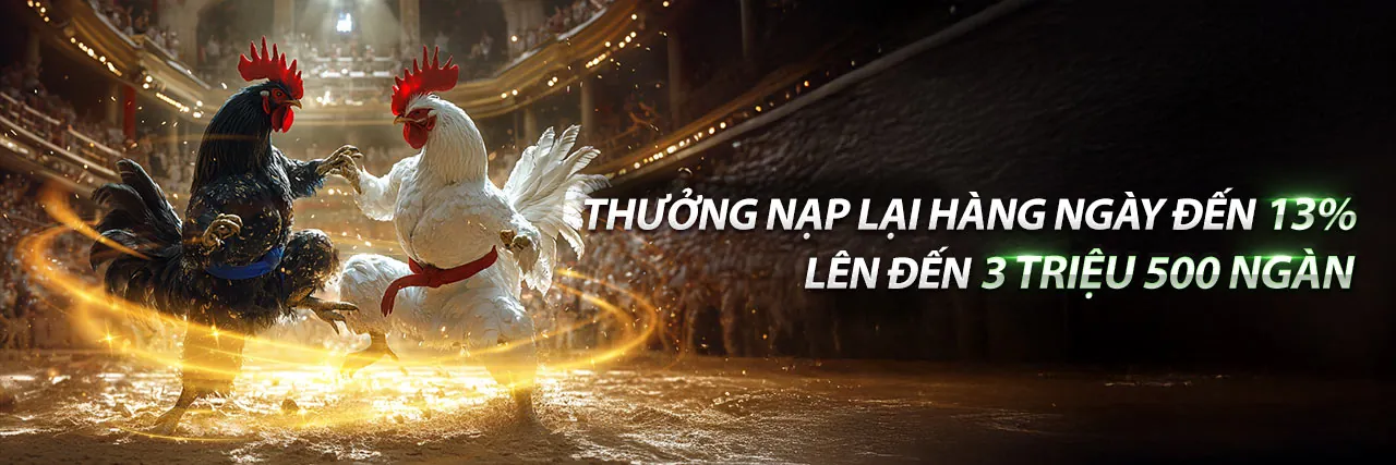 Gà chọi đang giao chiến tại 88xx info